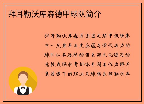 拜耳勒沃库森德甲球队简介
